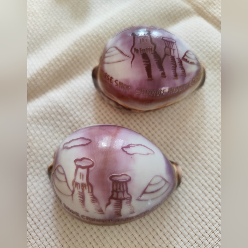4/$50⭐️Set of 2 Engraved Tiger Cowrie Shells